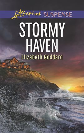 Cover image for Stormy Haven