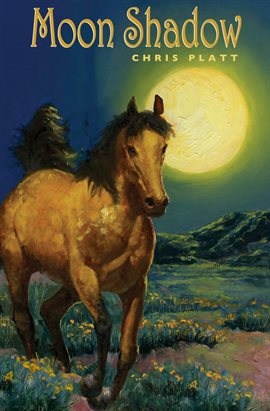 Cover image for Moon Shadow