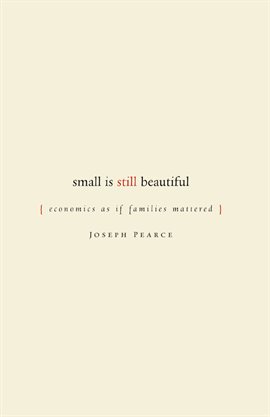 Cover image for Small Is Still Beautiful