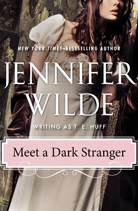 Cover image for Meet a Dark Stranger