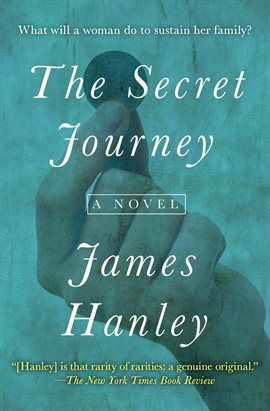 Cover image for The Secret Journey