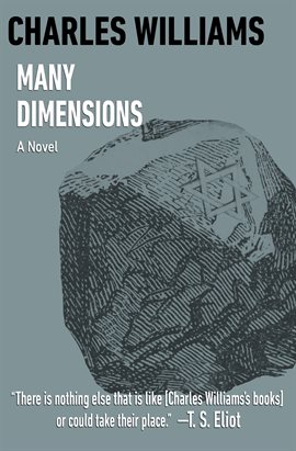 Cover image for Many Dimensions