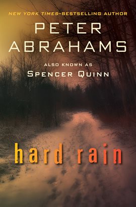 Cover image for Hard Rain