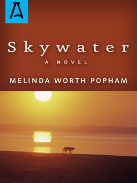Cover image for Skywater
