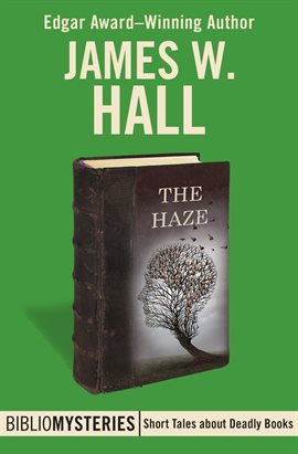 Cover image for The Haze