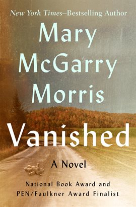 Cover image for Vanished