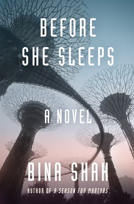Cover image for Before She Sleeps