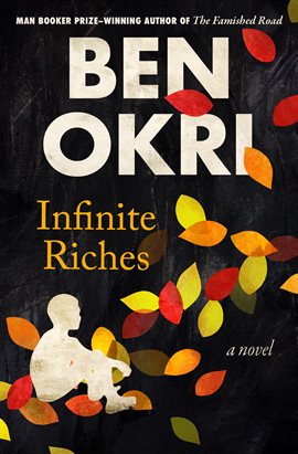 Cover image for Infinite Riches