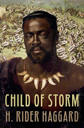 Cover image for Child of Storm