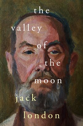 Cover image for The Valley of the Moon