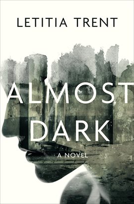 Cover image for Almost Dark