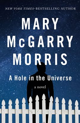 Cover image for A Hole in the Universe