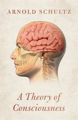 Cover image for A Theory of Consciousness