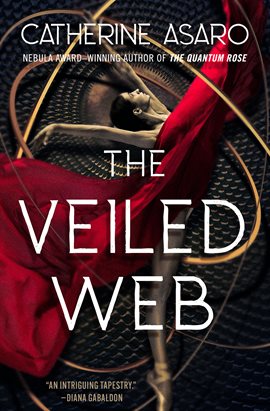 Cover image for The Veiled Web