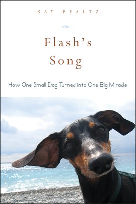 Cover image for Flash's Song