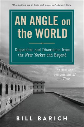 Cover image for An Angle on the World