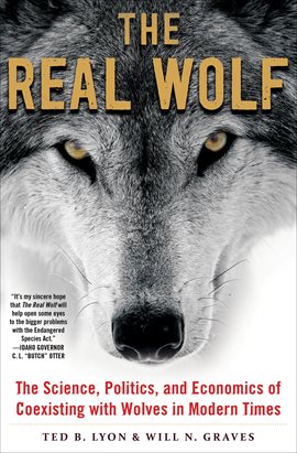 Cover image for The Real Wolf