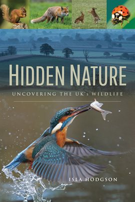Cover image for Hidden Nature