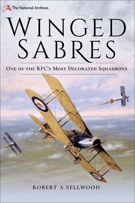 Cover image for Winged Sabres