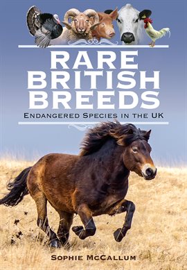 Cover image for Rare British Breeds
