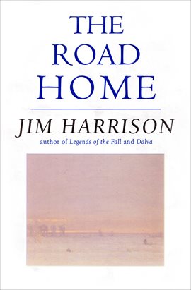 Cover image for The Road Home