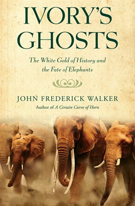 Cover image for Ivory's Ghosts