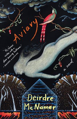 Cover image for Aviary