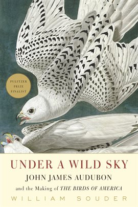 Cover image for Under a Wild Sky