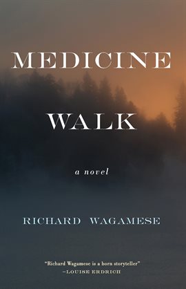Cover image for Medicine Walk