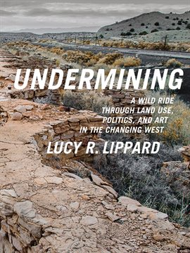 Imagen de portada para Undermining
