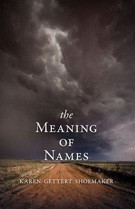 Cover image for The Meaning of Names