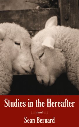 Cover image for Studies in the Hereafter