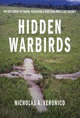 Cover image for Hidden Warbirds