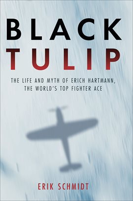 Cover image for Black Tulip