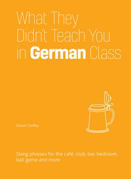 Cover image for What They Didn't Teach You in German Class