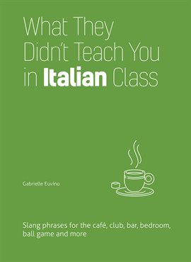 Cover image for What They Didn't Teach You in Italian Class