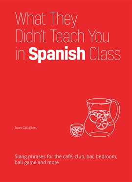 Imagen de portada para What They Didn't Teach You in Spanish Class