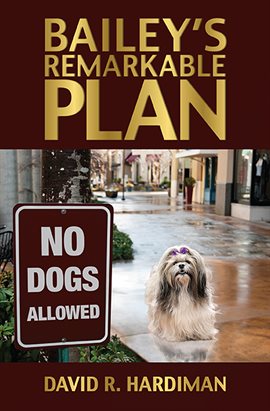 Cover image for Bailey's Remarkable Plan
