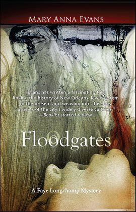 Cover image for Floodgates