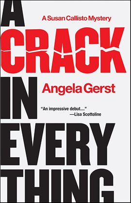 Cover image for A Crack in Everything