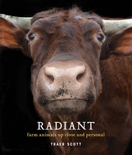 Cover image for Radiant