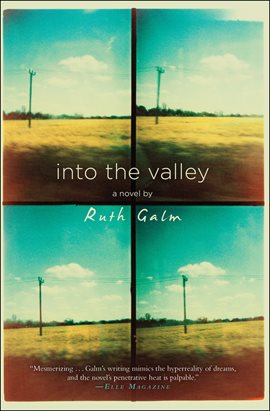 Cover image for Into the Valley