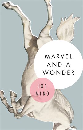 Cover image for Marvel and a Wonder