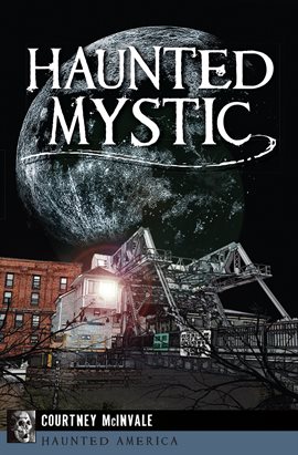 Cover image for Haunted Mystic
