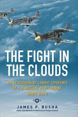 Cover image for The Fight in the Clouds