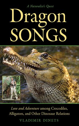 Cover image for Dragon Songs