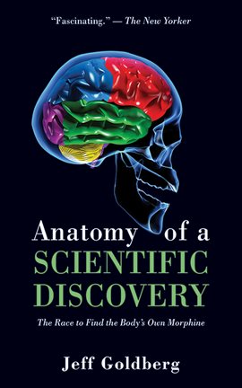 Cover image for Anatomy of a Scientific Discovery