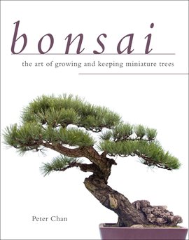 Cover image for Bonsai