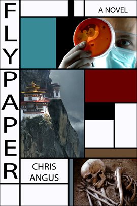 Cover image for Flypaper