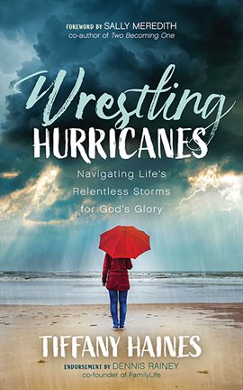 Cover image for Wrestling Hurricanes